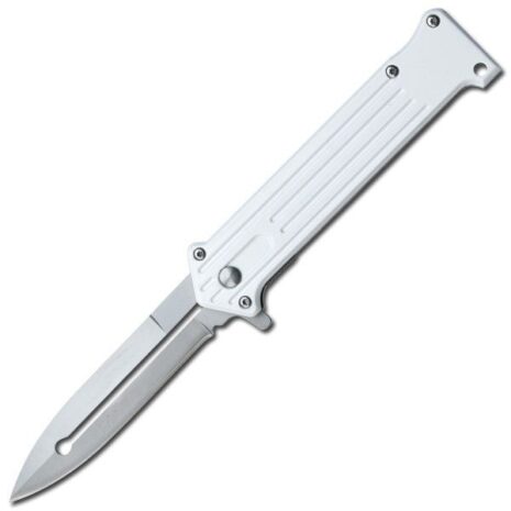 silver blade silver handle assisted folding knife with pocket clip