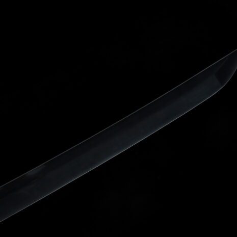 T64039 (5) T64039 (5)